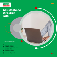 Assiatante de direction